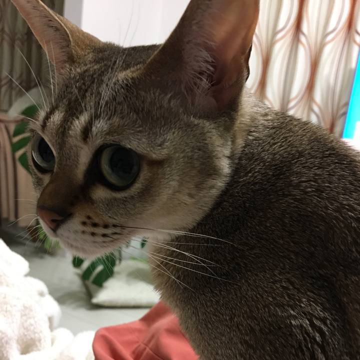 2fb8acd2 f41f 4a10 9139 2413b3272eb3