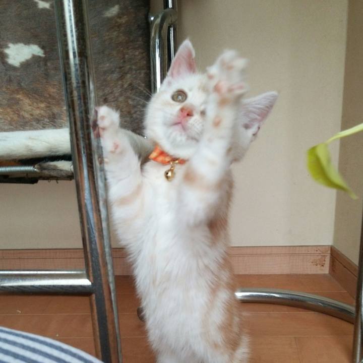 2fb8d3b2 1fcc 4313 bc32 2e6e51aa3713