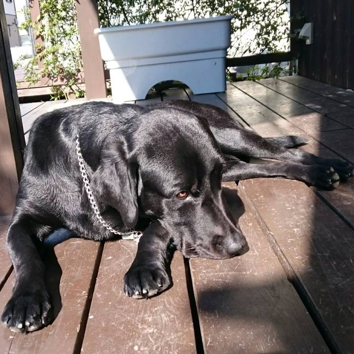 2fb91b9b e63e 4934 8532 9d7cbee95238