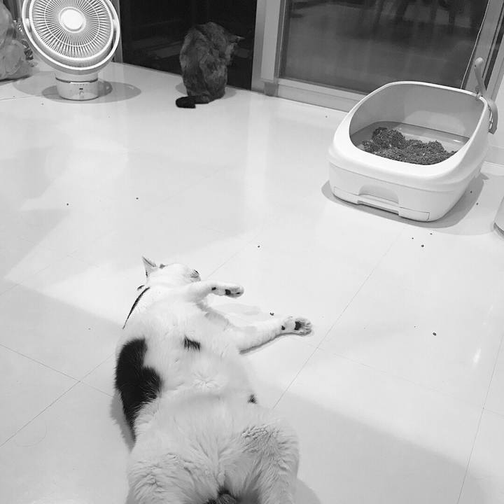 2fb9b135 cff2 4be6 83c9 348f7fe14b6d