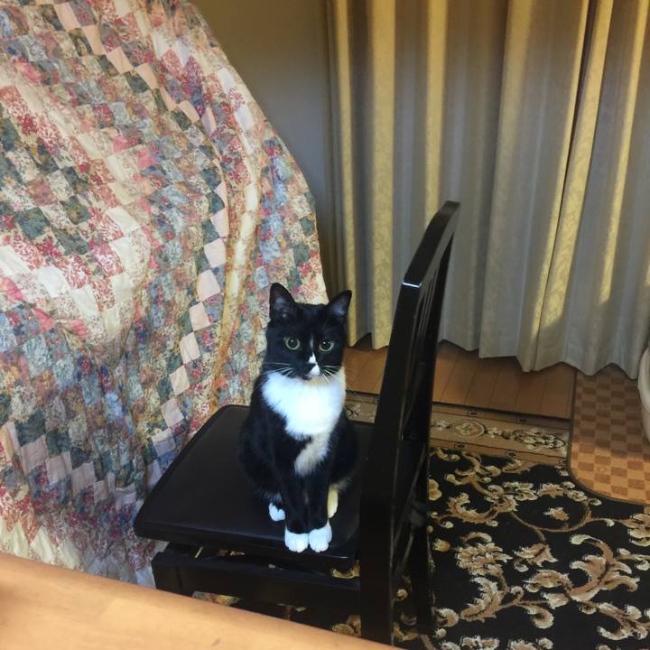 2fb9e4be 2c39 458e a50f cf9151727f51