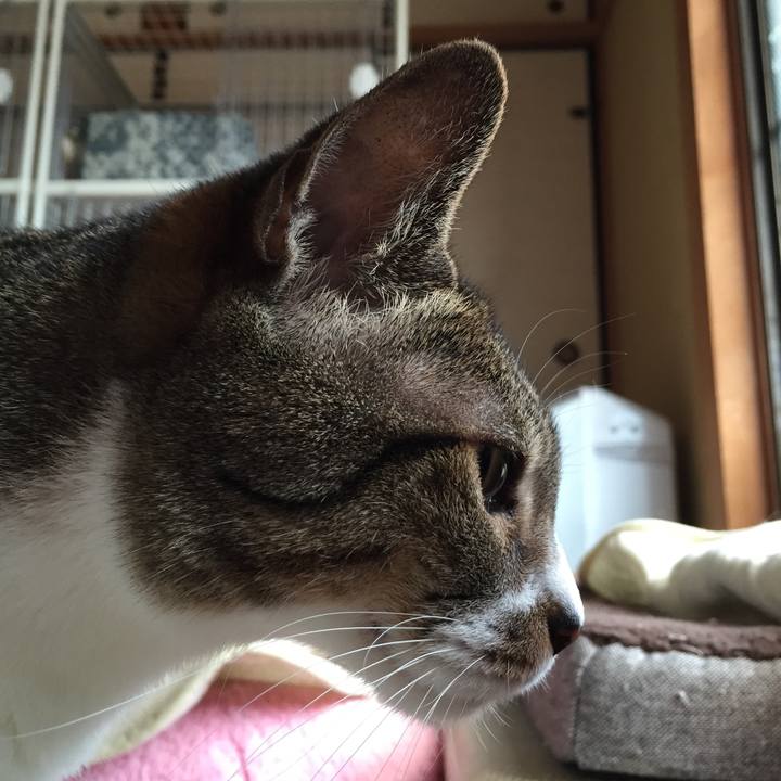 2fba9a62 45eb 4c7f b428 8891722fbe4d