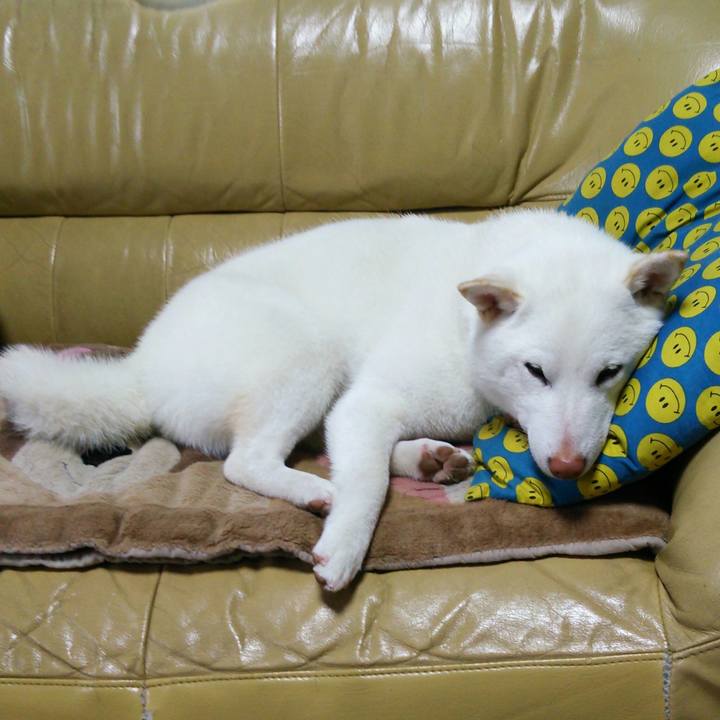 2fbb0245 2276 4326 a28f dbf34e361f77