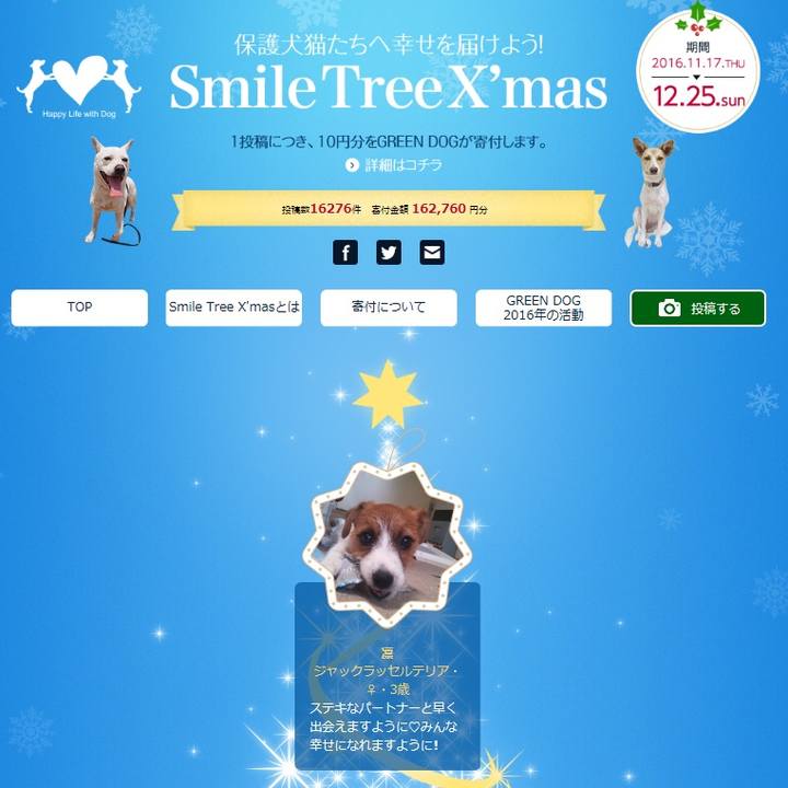 2fbb1cde d11f 49cc 8b6b 097293d799fc