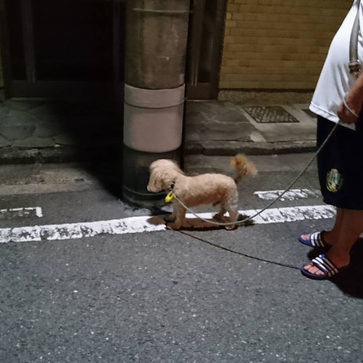 2fbc1fcb bea5 42cf 9d69 7b7fd4fdc012