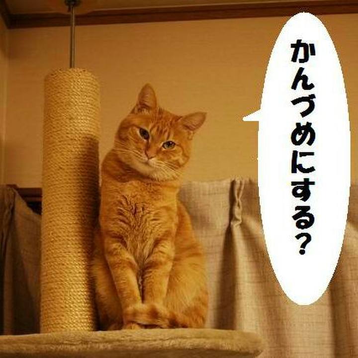 2fbc631d 6297 4210 b64e 1330a2f42308