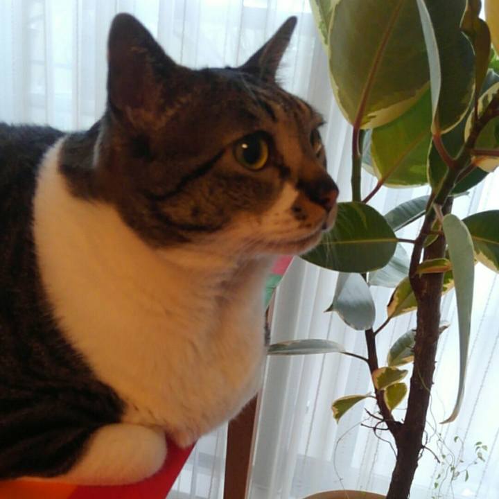 2fbc7bc5 f28c 4196 aa47 84a909f3ad37