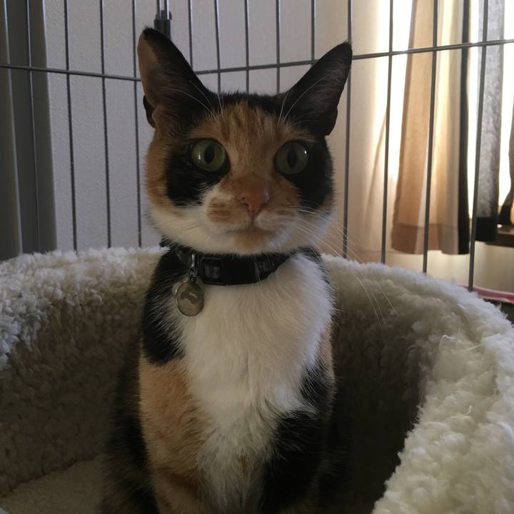 2fbc96e7 aeed 4da6 bfbb 99e9d29f45f4