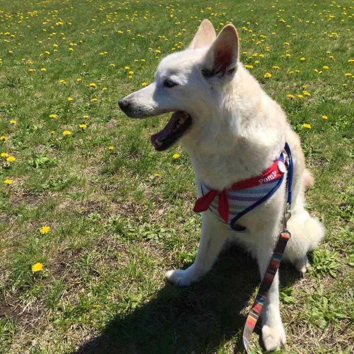 2fbcbfb5 8db4 4ec6 9f05 b571438ecec5