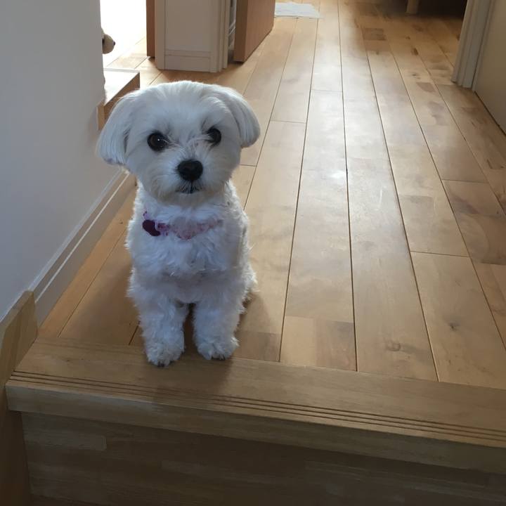 2fbce8bd 203a 4231 9929 e830d9a5eac9