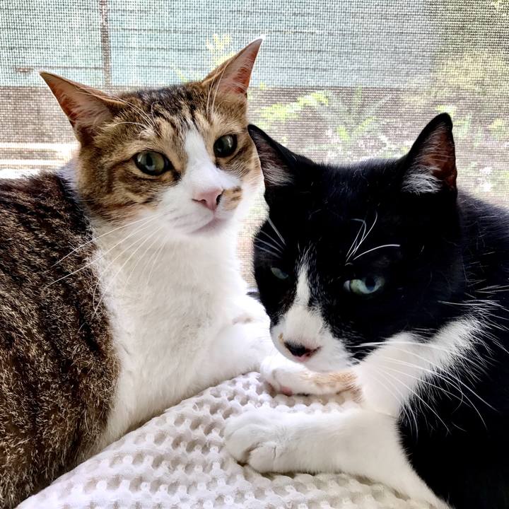 2fbcfa67 0770 4f3e bfe1 02f853a1005e