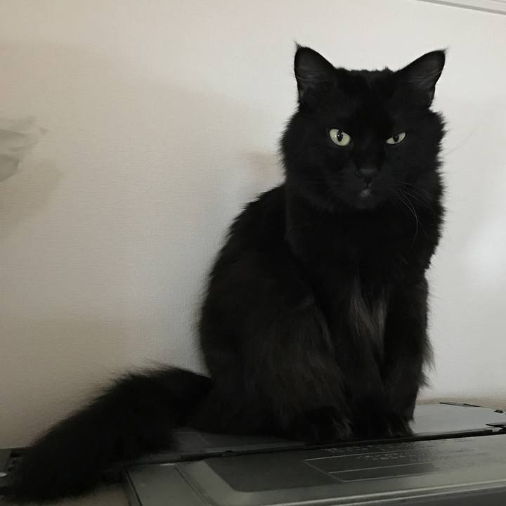 2fbd0ee1 4645 4380 8d97 0869c9ab7bb0