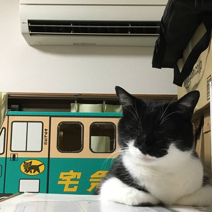 2fbd4a83 33a7 44a5 9224 aa18b0dedb32