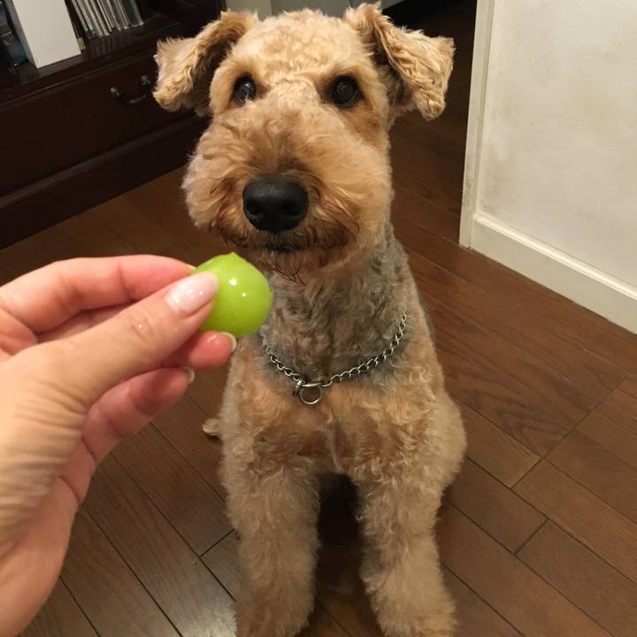 2fbdaa99 24e0 467c b57b 9b4b3ff5cfd1