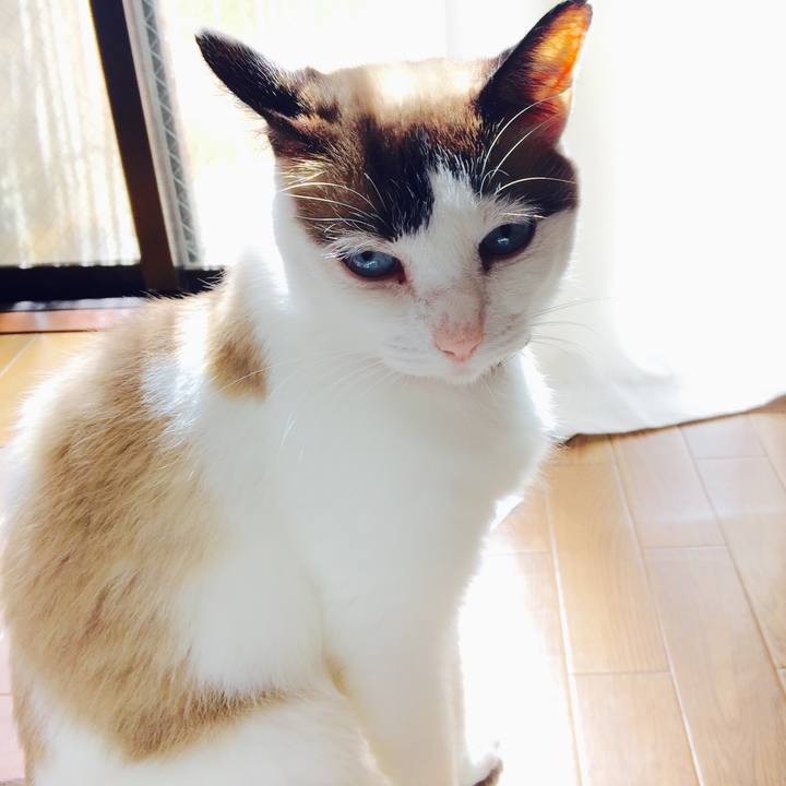 2fbe68cc 01b7 4b8f bea0 f424a4eed666