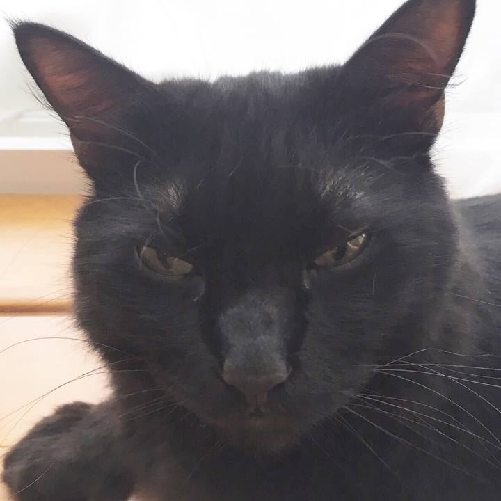 2fbe9d36 8e8b 4ffa 8383 4ebc14b8b37c