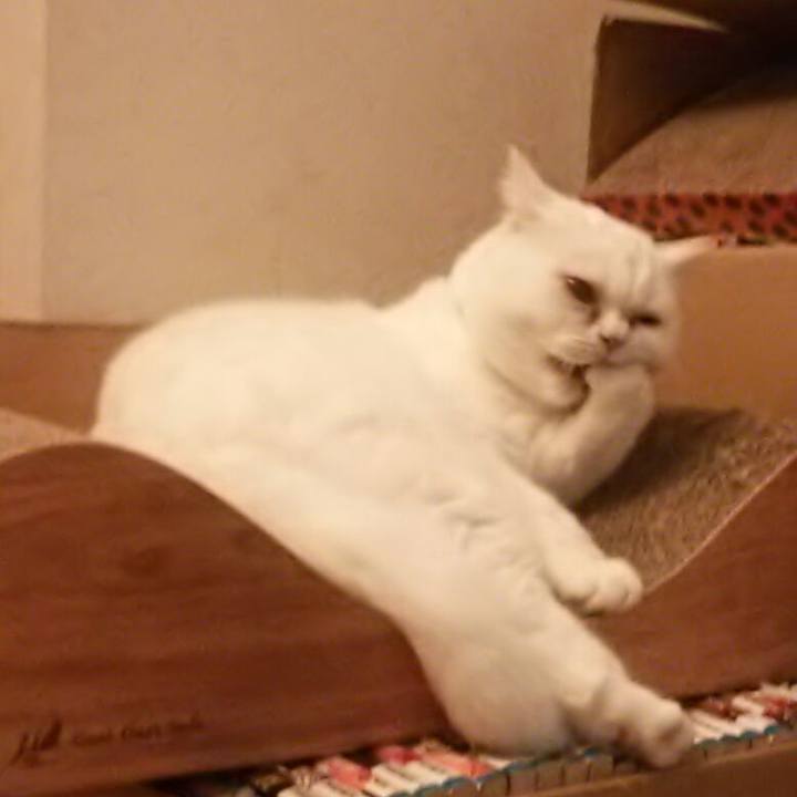 2fbefbed 9f74 4551 b049 7ab3c969c4e7