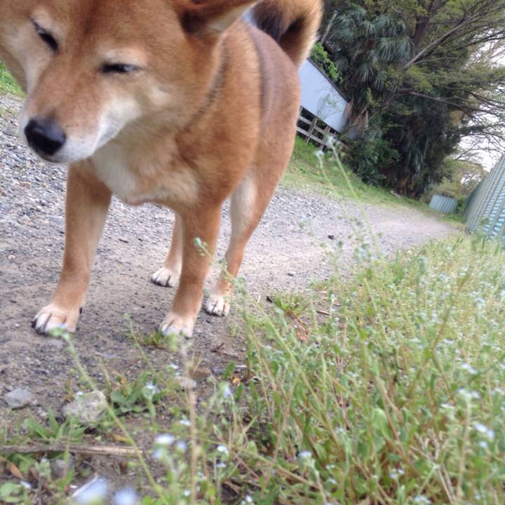 2fbf3908 061c 4245 aae3 6b42b075d1ad