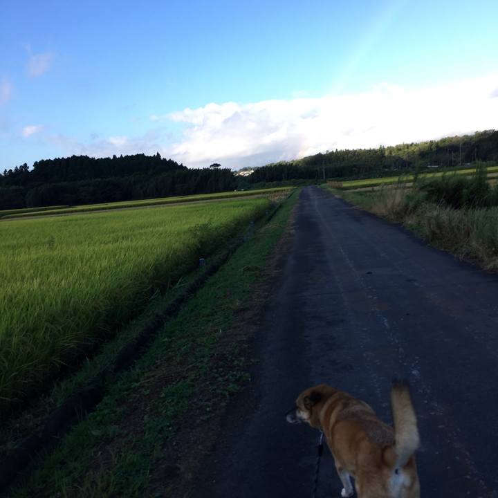 2fbf42ce a2f4 4e20 a681 57ce0c6d947b