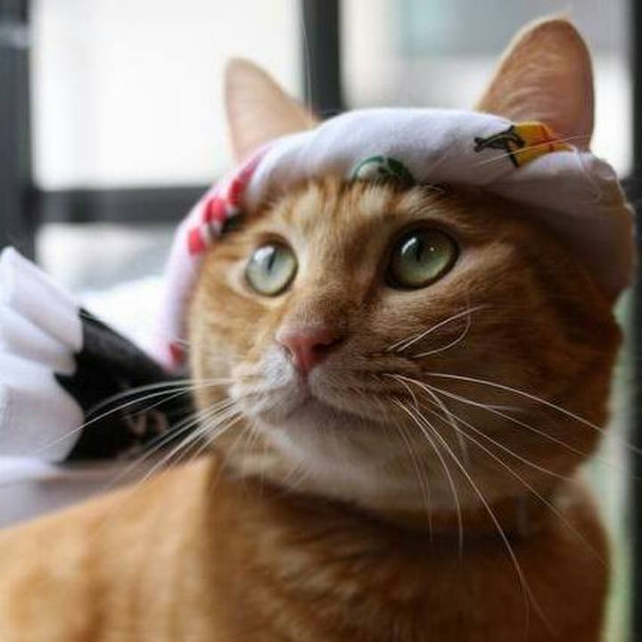 2fbfebab eca0 4a03 948e 04cae683ae0c