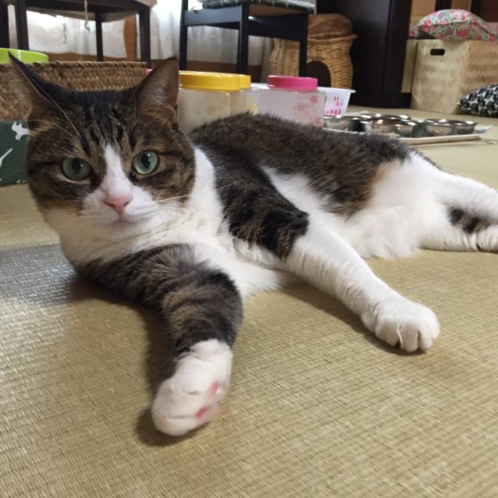 2fc0cd91 e837 4615 a52e bb7ea61b8879