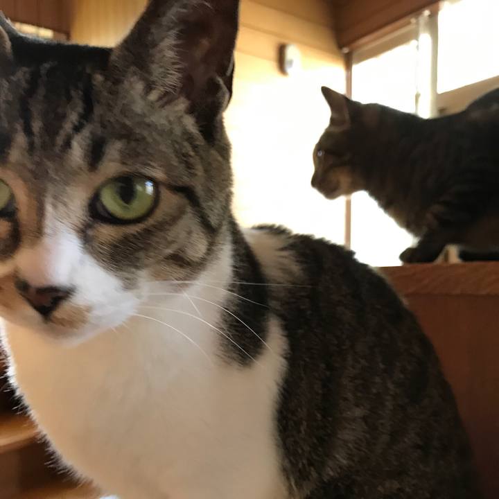 2fc0cecd cbf6 4149 81e2 64ede8ea4b98