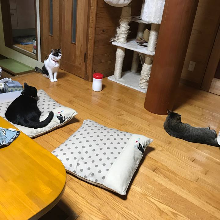 2fc12052 4b70 466e 8e2c 606eac6e4f52