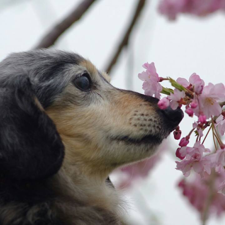 2fc1b795 d598 459e 8801 e6659fd469a4