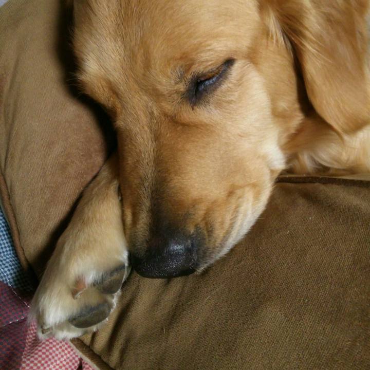 2fc2edce 5b4d 4f2a 9392 ce7d49db7b05