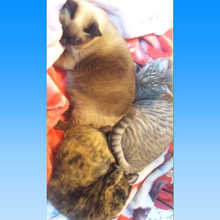 2fc324f4 9542 4b1a a7e4 75b132312e9e