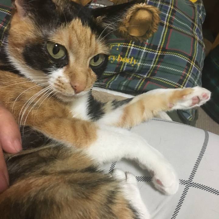 2fc385d2 9ed0 41f2 9232 4e2fd24c7f77