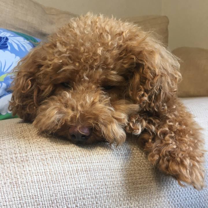 2fc3eac2 bc59 40d9 99de a6fdcc4d9c01