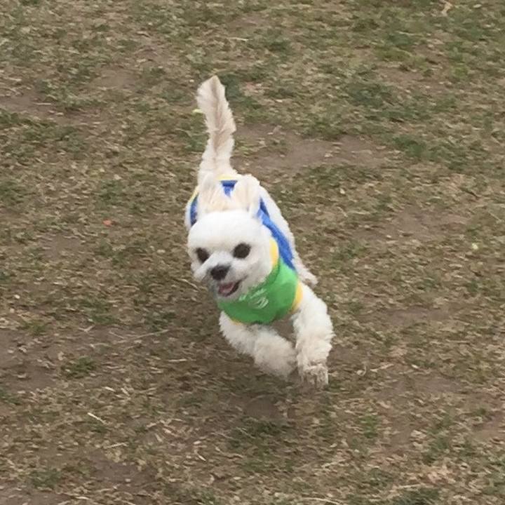 2fc41b07 037e 4fa1 9585 4be4ed1a48b4