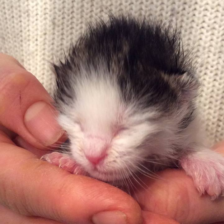 2fc43a7d e913 4347 9163 c1d5cecf3fd7