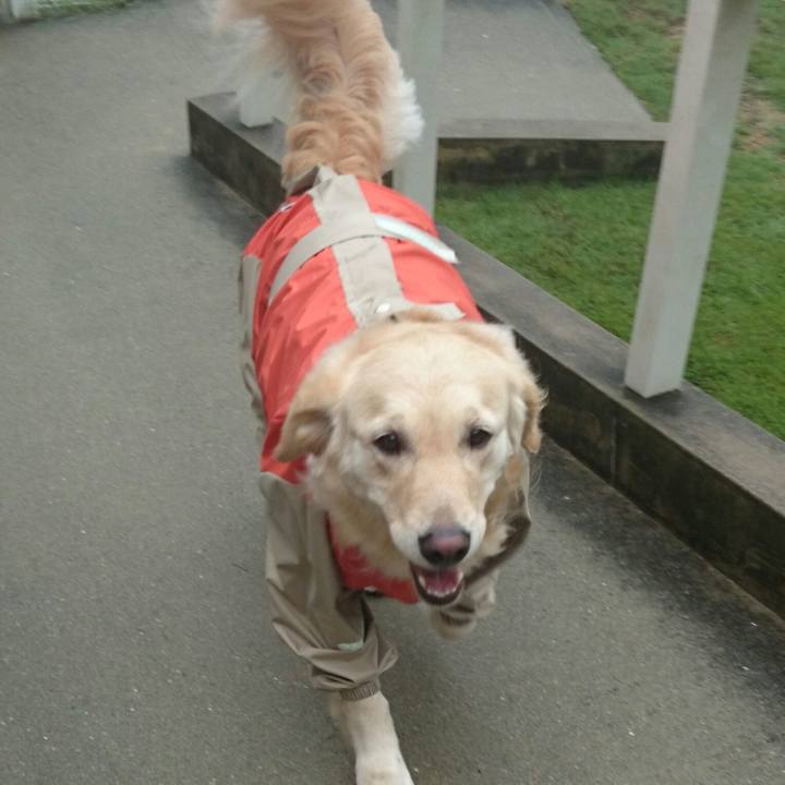 2fc5bcc6 ea9e 4ef2 95f7 6e5ecfba9c2f