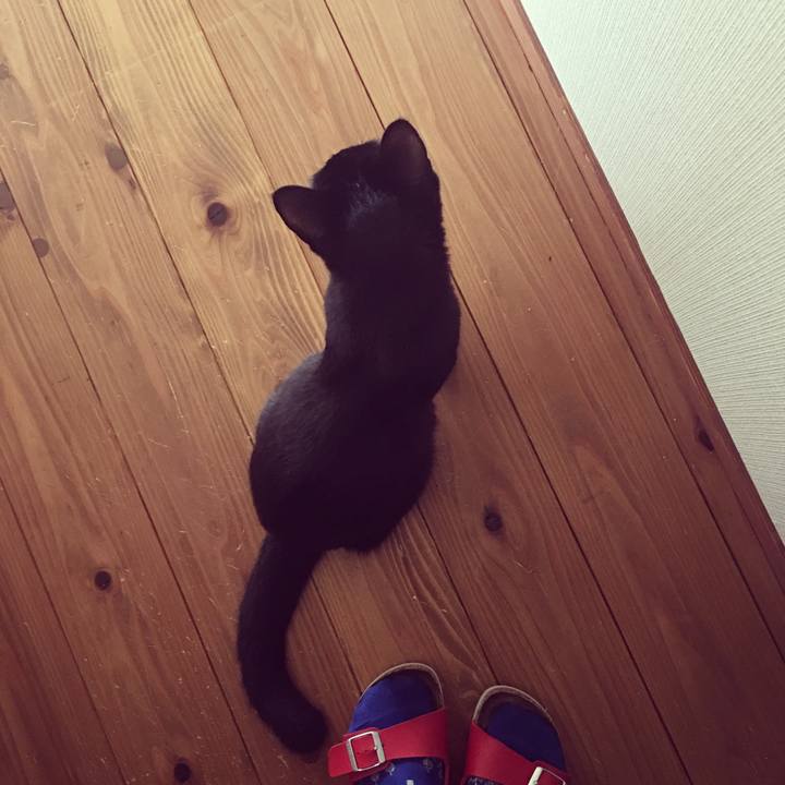 2fc5d6bc 397c 4fd0 9c81 11966f78703b