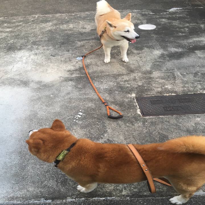 2fc5eaf3 3495 4b3c b545 3922aa882898