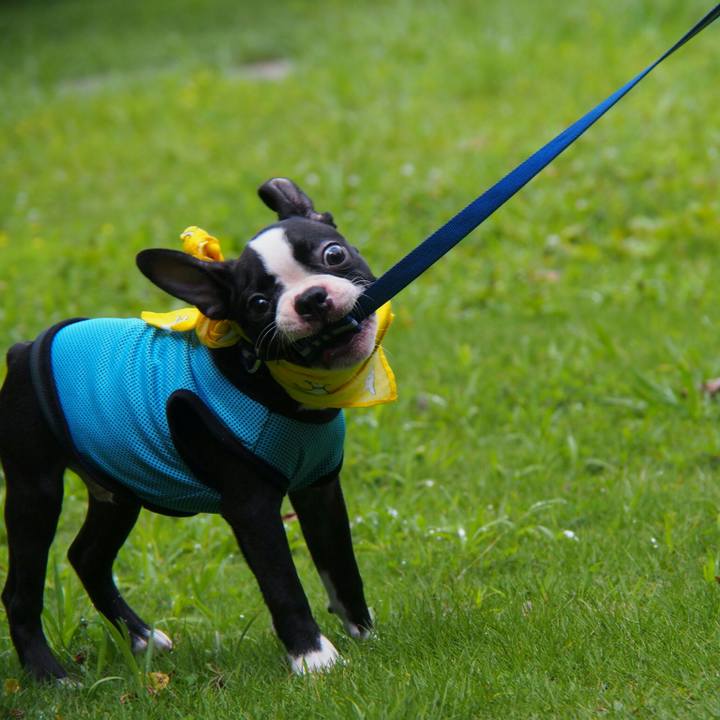 2fc5f09a 87fb 4ec1 a122 5d424b323f3b