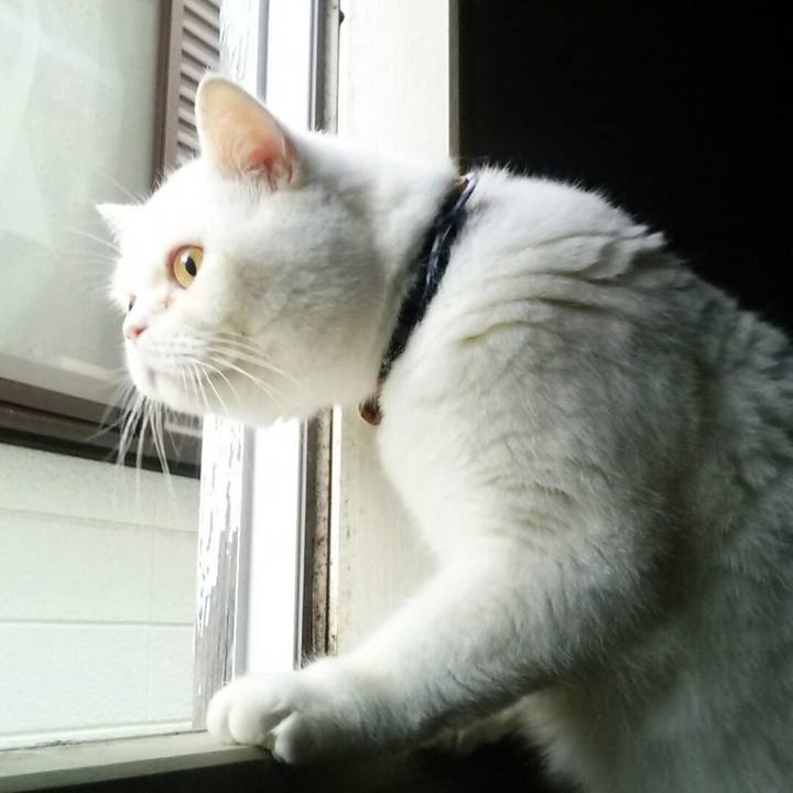 2fc5f9ae 98a3 4af7 a348 00dddc64e523