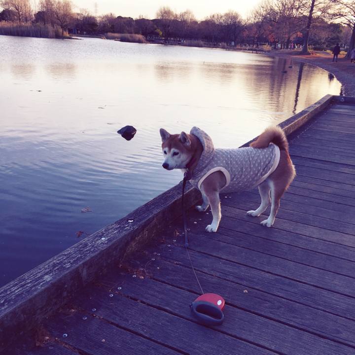 2fc67393 d2a4 4a7c 88e3 d2a11960bcf1