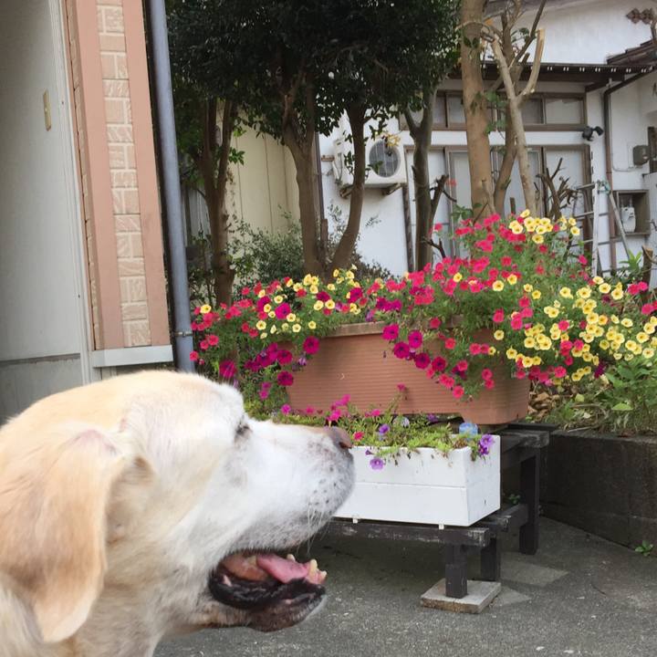 2fc732b1 f215 4a6b a8ec ed0c88198536