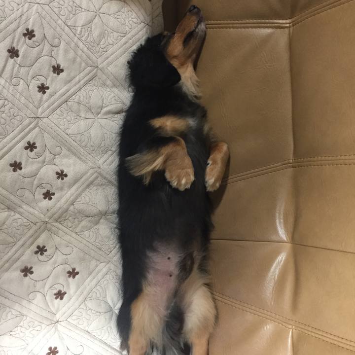 2fc76422 7db0 4d14 992d a641afed26de