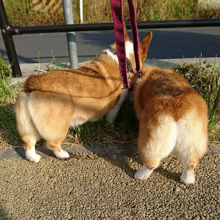 2fc776a3 0355 46b0 a479 0c683e0107d5