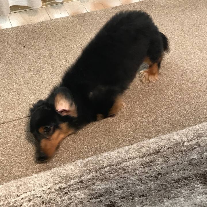 2fc78743 5a8b 43d0 b811 a535438d3e98