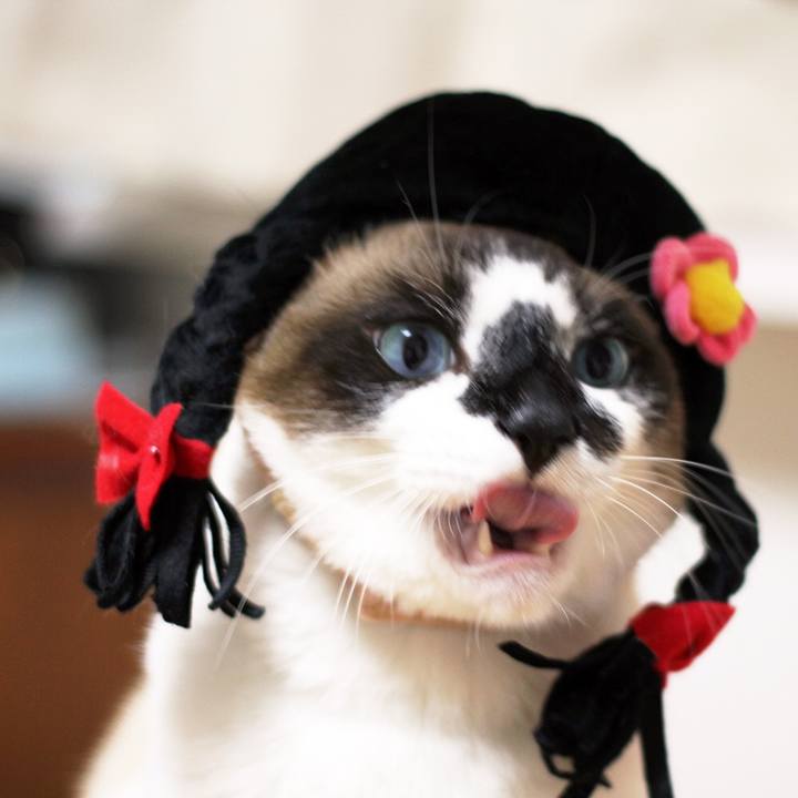 2fc8122a 5321 4bda bb70 d645cb3ece0c