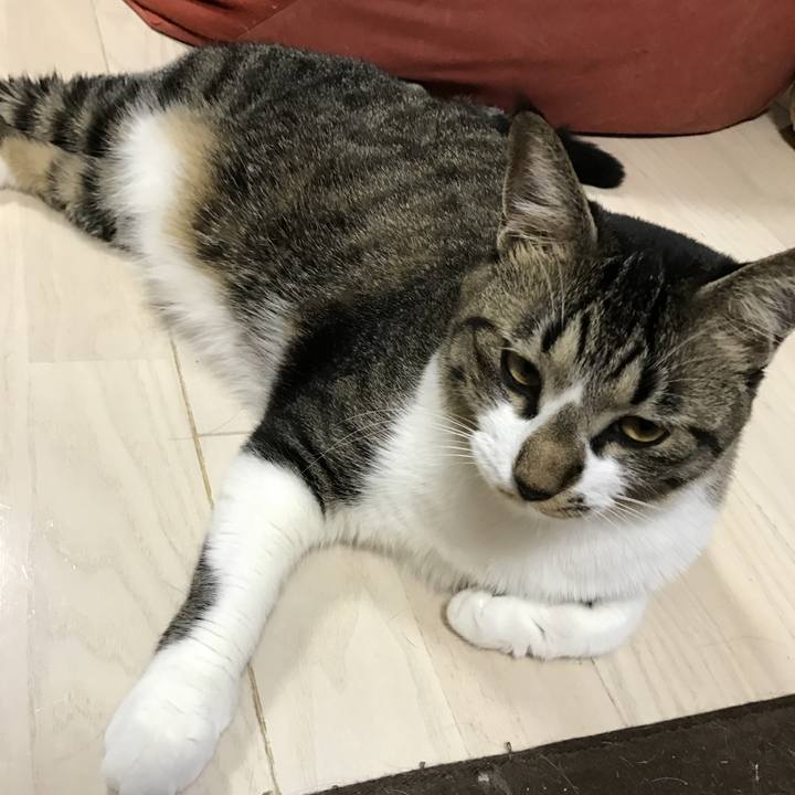 2fc81986 9807 408c b459 05fdef76fbc3