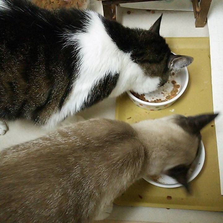 2fc8c567 7d4a 4436 99e3 f97ef1b484b6