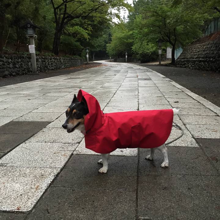 2fc91483 af82 4600 a6ca c8a4d25ea518