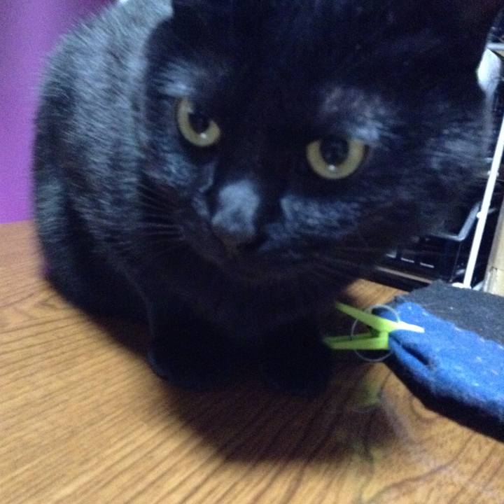 2fc97019 468b 40ed 970a 349b348cc080