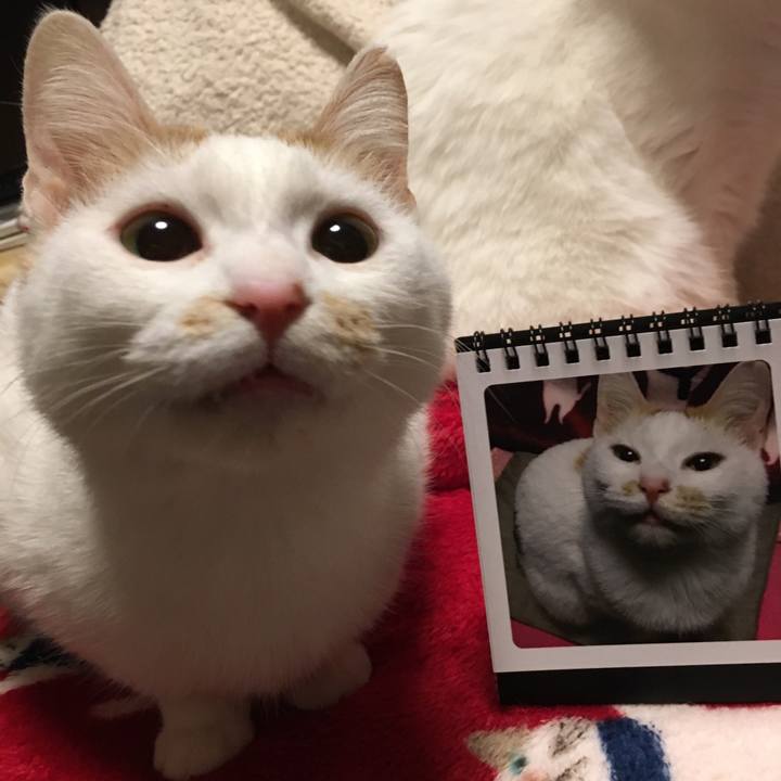 2fc997e8 1502 4d86 af54 e3f27034d192